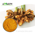 AMUNYNN Soins de santé Extrait de curcuma biologique